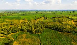 Land / Plots